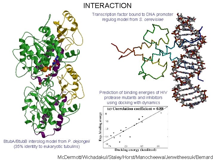 INTERACTION Transcription factor bound to DNA promoter regulog model from S. cerevisiae Prediction of