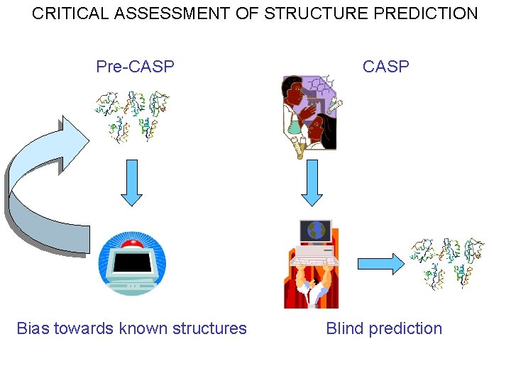 CRITICAL ASSESSMENT OF STRUCTURE PREDICTION Pre-CASP Bias towards known structures Blind prediction 