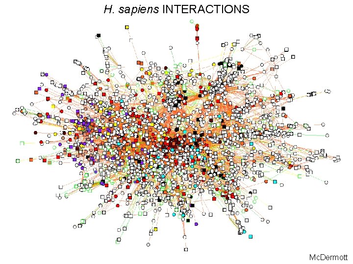 H. sapiens INTERACTIONS Mc. Dermott 