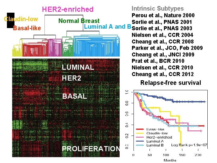 HER 2 -enriched Claudin-low Basal-like Intrinsic Subtypes Perou et al. , Nature 2000 Normal