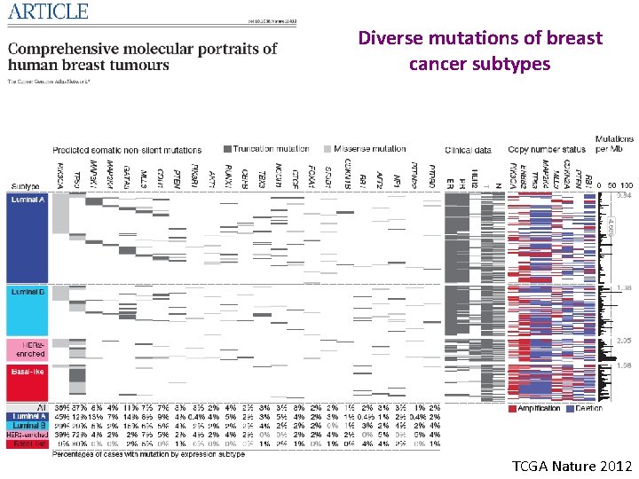 Diverse mutations of breast cancer subtypes TCGA Nature 2012 