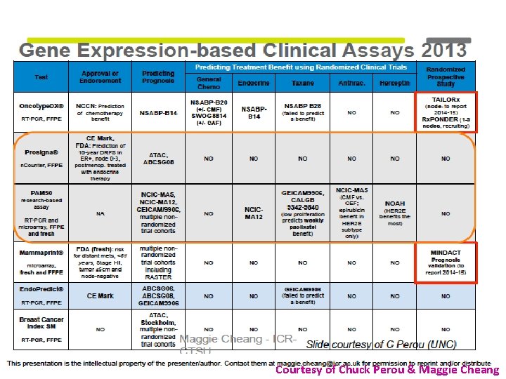 Courtesy of Chuck Perou & Maggie Cheang 