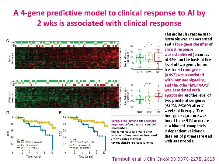 A 4 -gene predictive model to clinical response to AI by 2 wks is