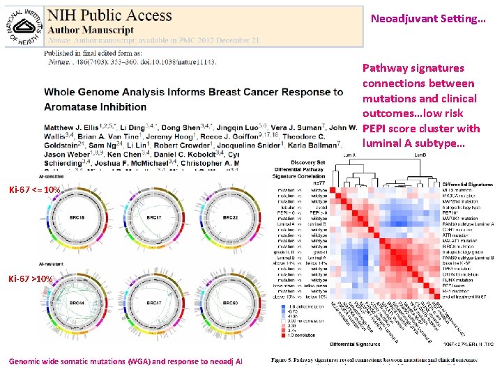 Neoadjuvant Setting… Pathway signatures connections between mutations and clinical outcomes…low risk PEPI score cluster