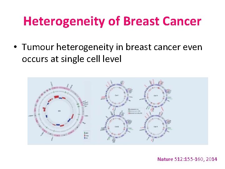 Heterogeneity of Breast Cancer • Tumour heterogeneity in breast cancer even occurs at single