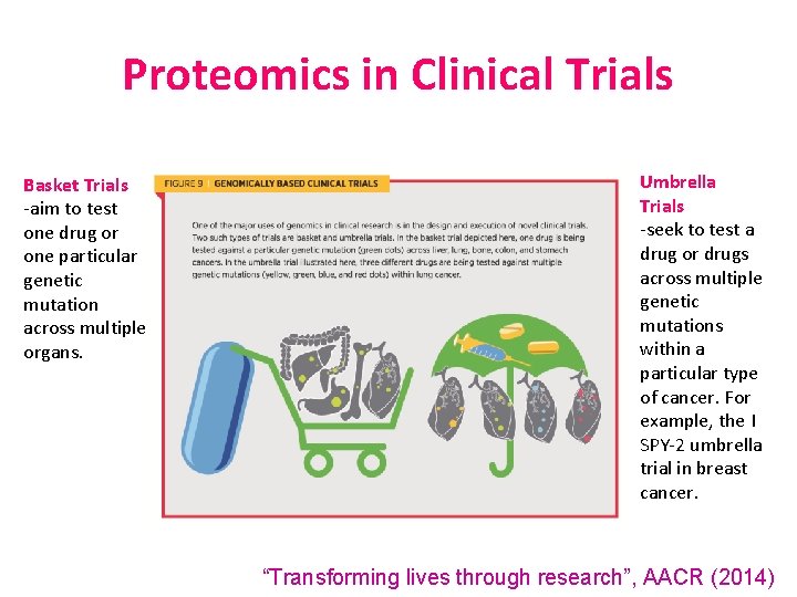 Proteomics in Clinical Trials Basket Trials -aim to test one drug or one particular