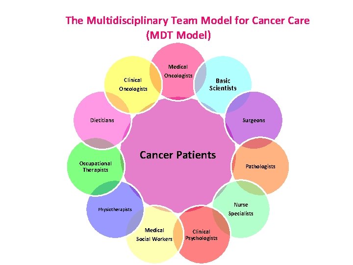 The Multidisciplinary Team Model for Cancer Care (MDT Model) Clinical Oncologists Medical Oncologists Basic