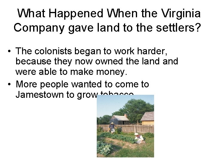 What Happened When the Virginia Company gave land to the settlers? • The colonists