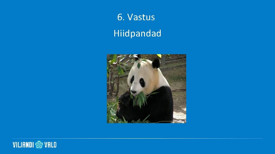 6. Vastus Hiidpandad 