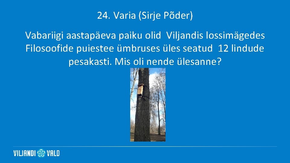 24. Varia (Sirje Põder) Vabariigi aastapäeva paiku olid Viljandis lossimägedes Filosoofide puiestee ümbruses üles