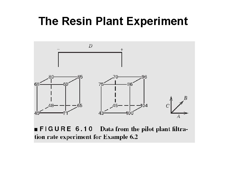 The Resin Plant Experiment 