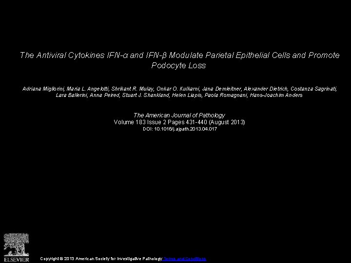 The Antiviral Cytokines IFN-α and IFN-β Modulate Parietal Epithelial Cells and Promote Podocyte Loss