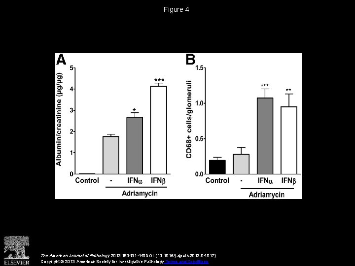 Figure 4 The American Journal of Pathology 2013 183431 -440 DOI: (10. 1016/j. ajpath.