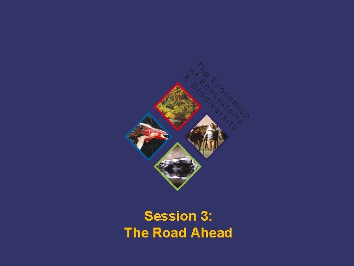 Session 3: The Road Ahead TEEB Training 