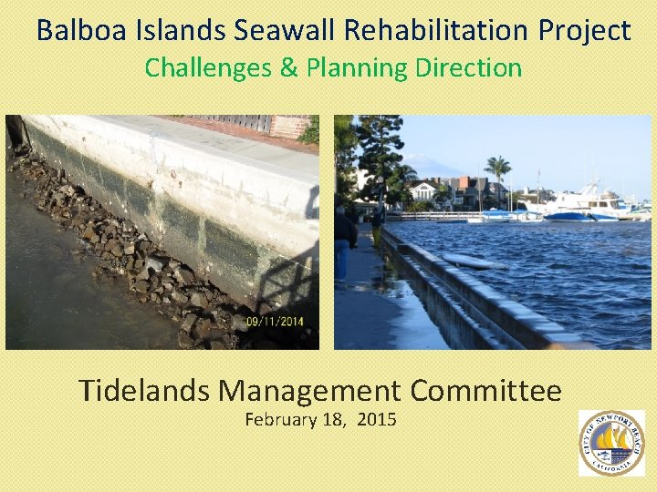 Balboa Islands Seawall Rehabilitation Project Challenges & Planning Direction Tidelands Management Committee February 18,