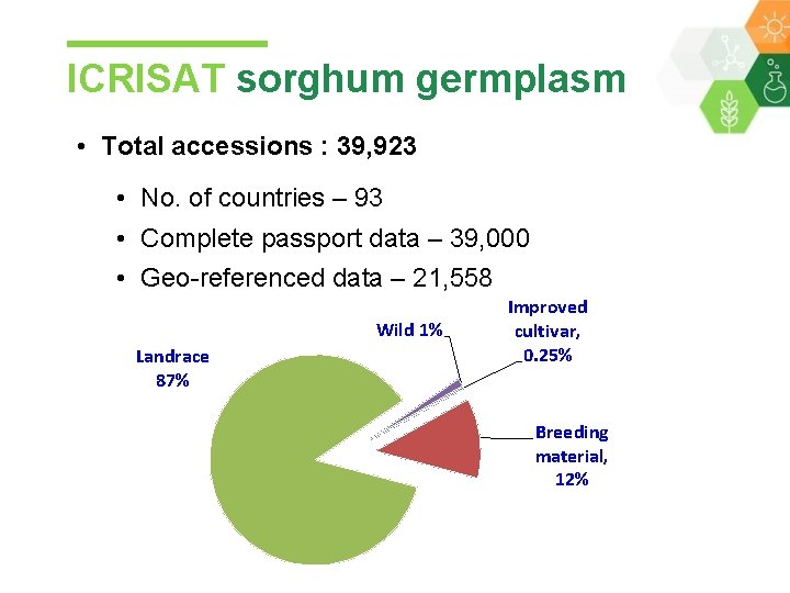 ICRISAT sorghum germplasm • Total accessions : 39, 923 • No. of countries –