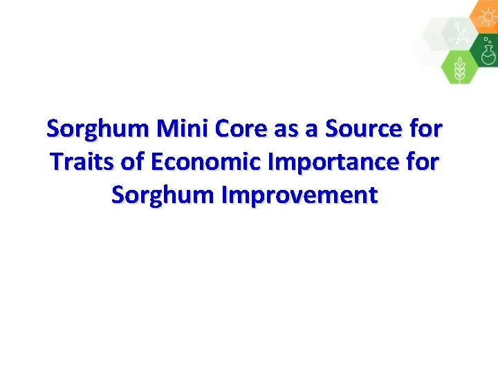 Sorghum Mini Core as a Source for Traits of Economic Importance for Sorghum Improvement