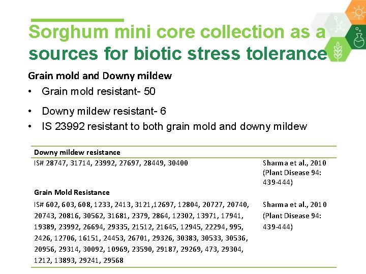 Sorghum mini core collection as a sources for biotic stress tolerance Grain mold and