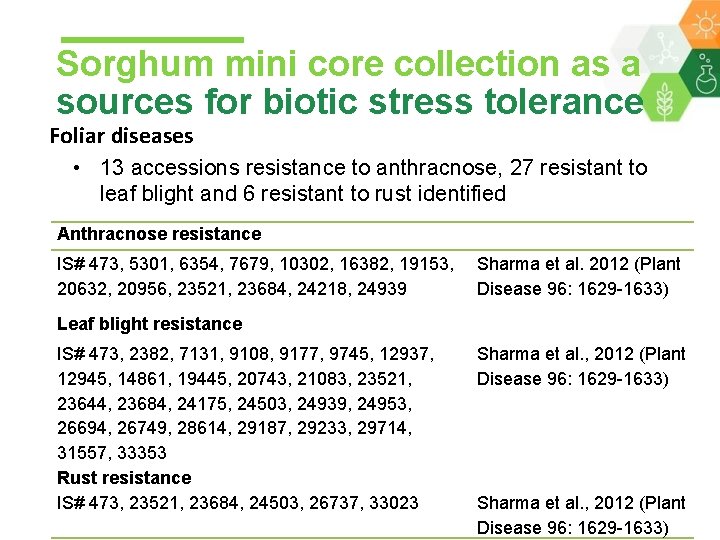 Sorghum mini core collection as a sources for biotic stress tolerance Foliar diseases •