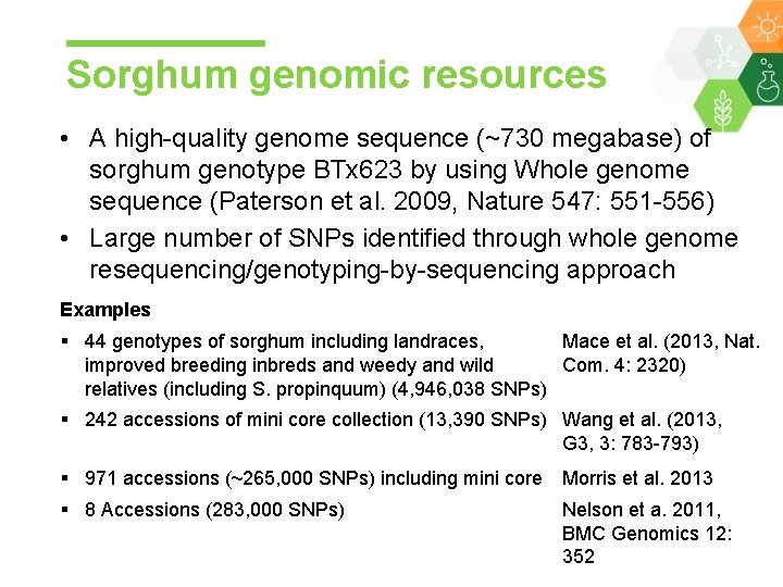 Sorghum genomic resources • A high-quality genome sequence (~730 megabase) of sorghum genotype BTx