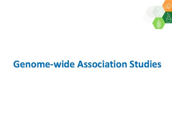 Genome-wide Association Studies 