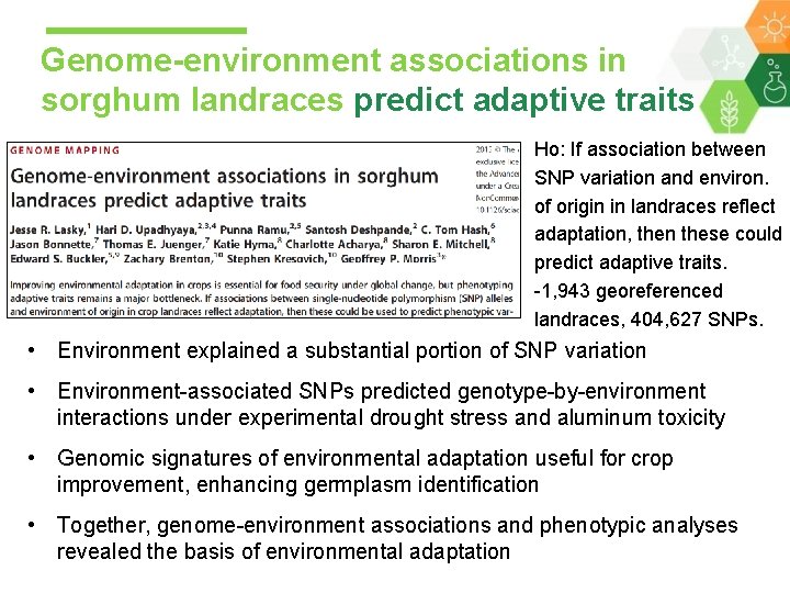 Genome-environment associations in sorghum landraces predict adaptive traits Ho: If association between SNP variation