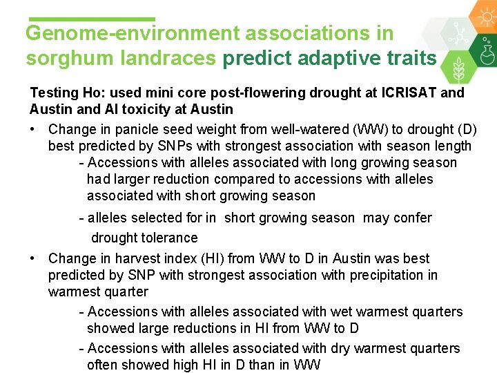 Genome-environment associations in sorghum landraces predict adaptive traits Testing Ho: used mini core post-flowering