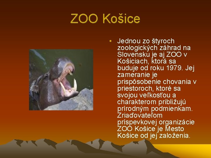 ZOO Košice • Jednou zo štyroch zoologických záhrad na Slovensku je aj ZOO v