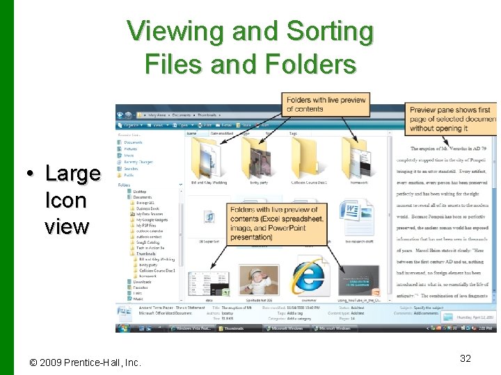 Viewing and Sorting Files and Folders • Large Icon view © 2009 Prentice-Hall, Inc.