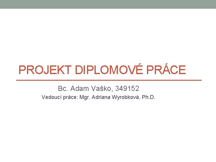 PROJEKT DIPLOMOVÉ PRÁCE Bc. Adam Vaško, 349152 Vedoucí práce: Mgr. Adriana Wyrobková, Ph. D.