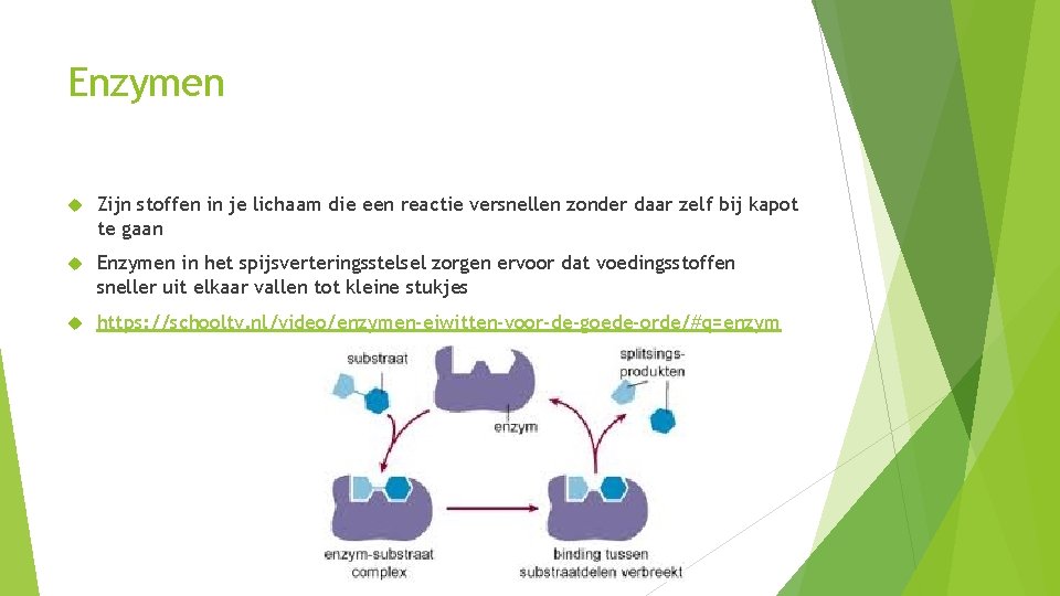 Enzymen Zijn stoffen in je lichaam die een reactie versnellen zonder daar zelf bij