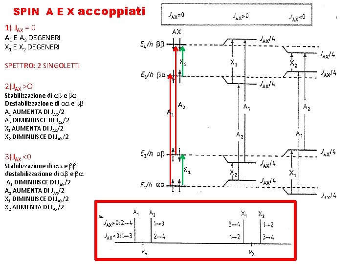 SPIN A E X accoppiati 1) JAX = 0 A 1 E A 2