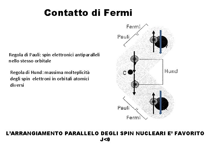 Contatto di Fermi Regola di Pauli: spin elettronici antiparalleli nello stesso orbitale Regola di