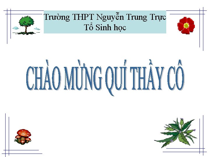 Trường THPT Nguyễn Trung Trực Tổ Sinh học 