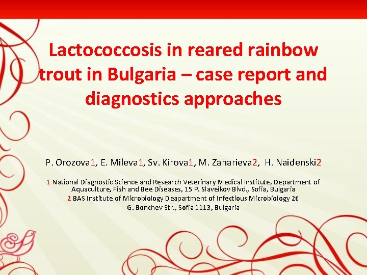 Lactococcosis in reared rainbow trout in Bulgaria – case report and diagnostics approaches P.