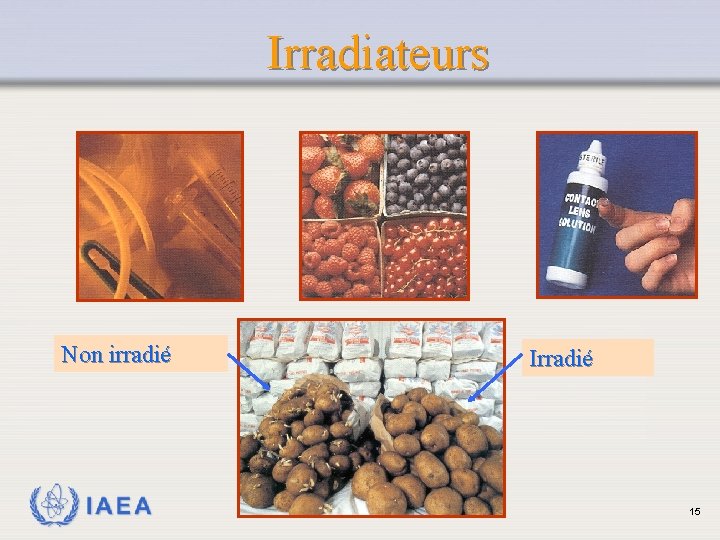 Irradiateurs Non irradié IAEA Irradié 15 