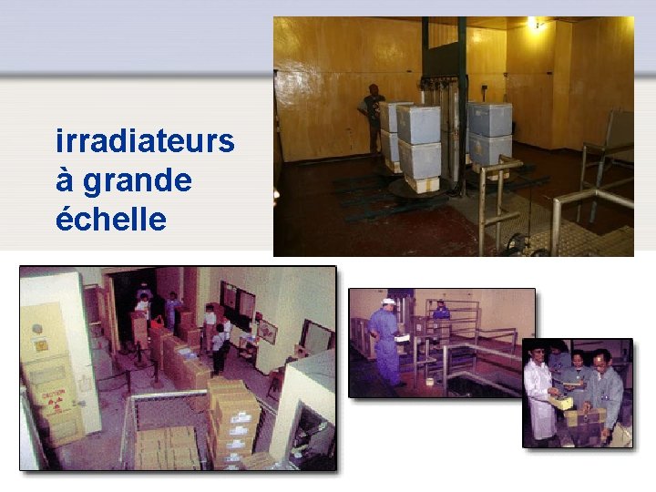 irradiateurs à grande échelle IAEA 17 