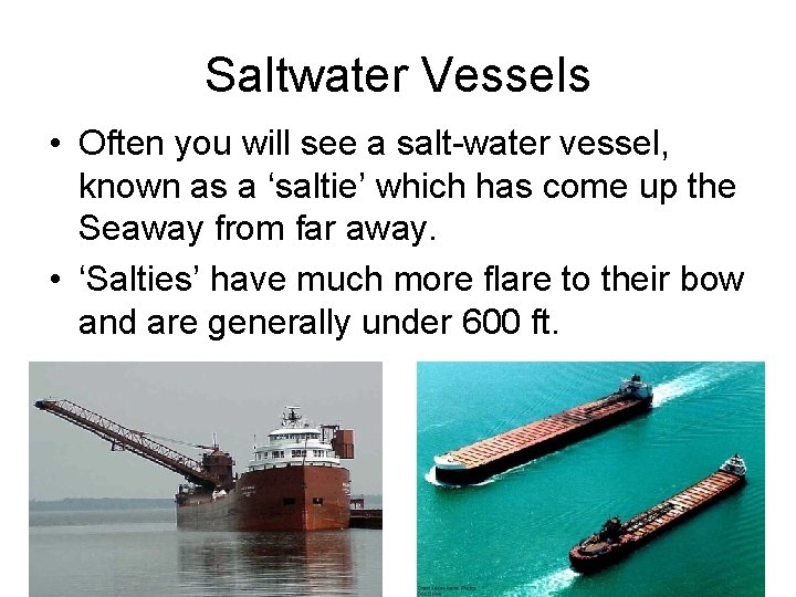 Saltwater Vessels • Often you will see a salt-water vessel, known as a ‘saltie’