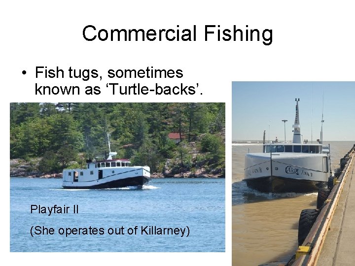 Commercial Fishing • Fish tugs, sometimes known as ‘Turtle-backs’. Playfair II (She operates out