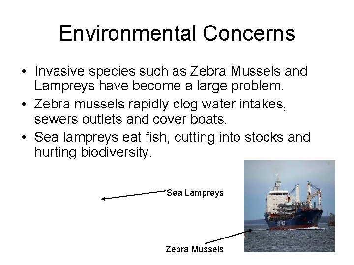 Environmental Concerns • Invasive species such as Zebra Mussels and Lampreys have become a