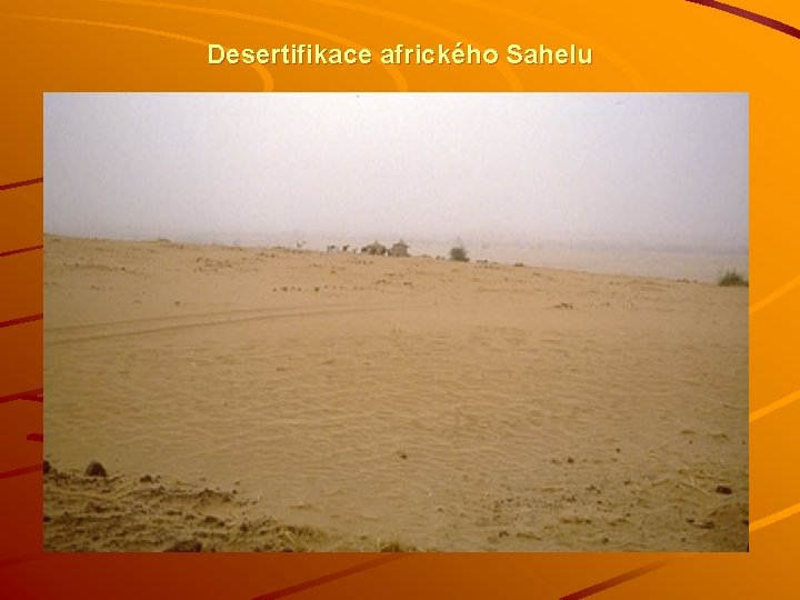 Desertifikace afrického Sahelu 