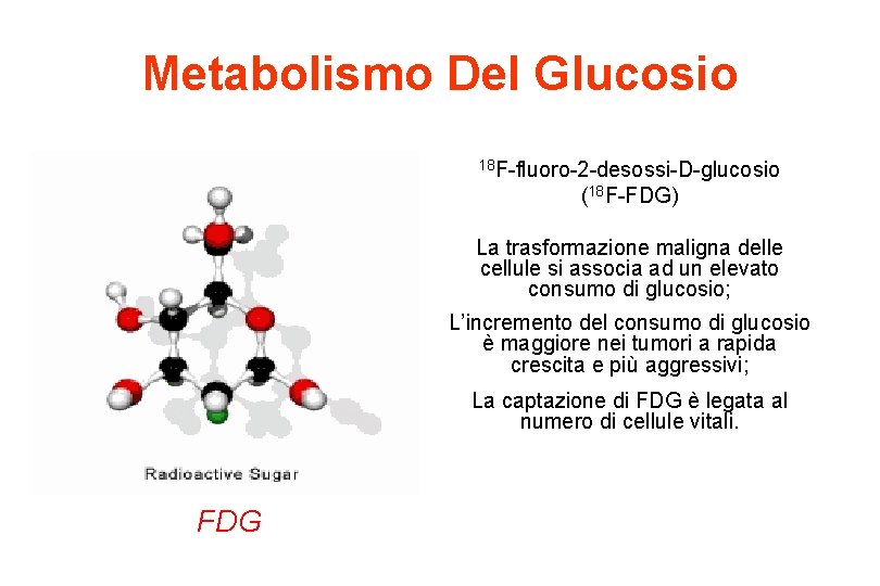 Metabolismo Del Glucosio 18 F-fluoro-2 -desossi-D-glucosio (18 F-FDG) La trasformazione maligna delle cellule si