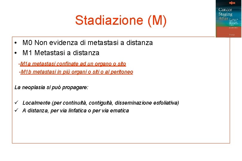 Stadiazione (M) • M 0 Non evidenza di metastasi a distanza • M 1