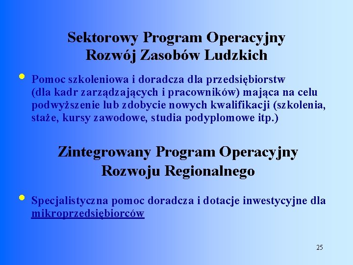 Sektorowy Program Operacyjny Rozwój Zasobów Ludzkich • Pomoc szkoleniowa i doradcza dla przedsiębiorstw (dla