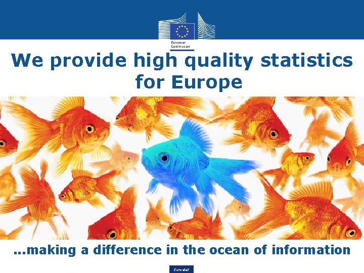 We provide high quality statistics for Europe . . . making a difference in