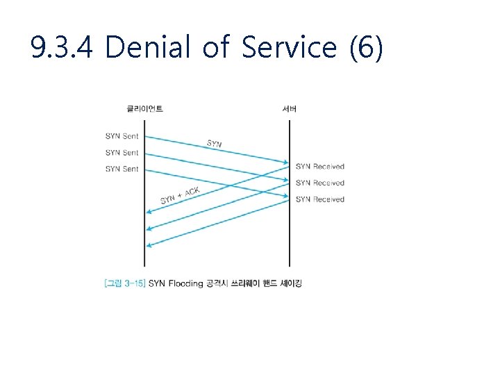9. 3. 4 Denial of Service (6) 