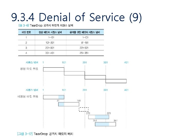 9. 3. 4 Denial of Service (9) 