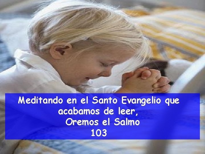 Meditando en el Santo Evangelio que acabamos de leer, Oremos el Salmo 103 