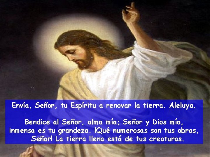 Envía, Señor, tu Espíritu a renovar la tierra. Aleluya. Bendice al Señor, alma mía;