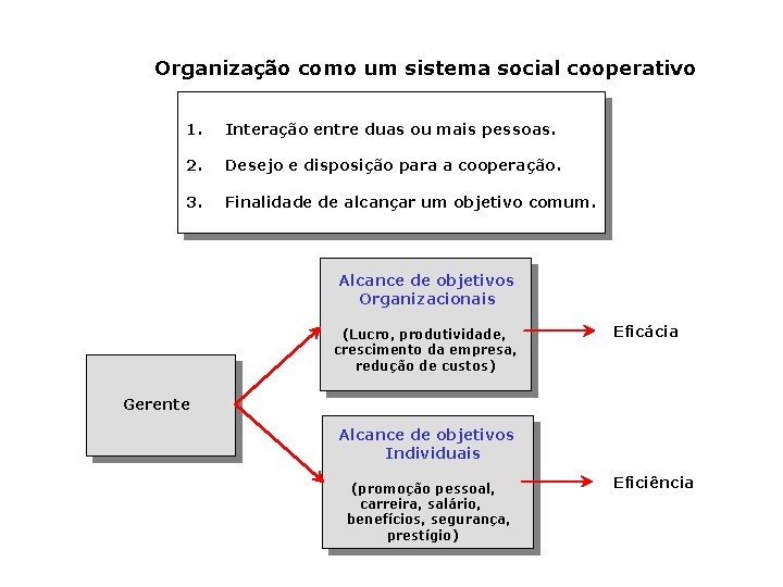 Organização como um sistema social cooperativo 1. Interação entre duas ou mais pessoas. 2.